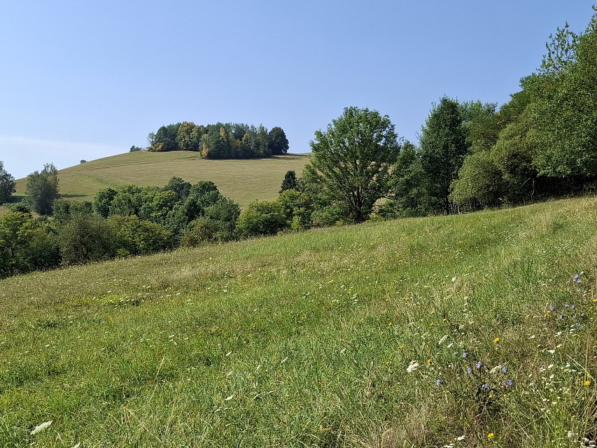 img00004.jpg