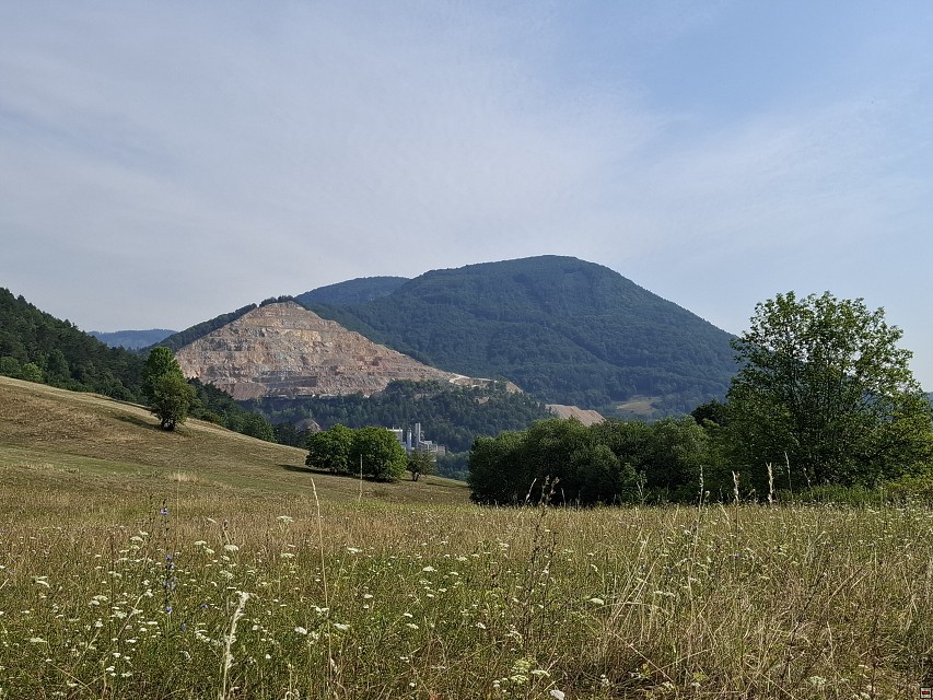 img00005.jpg