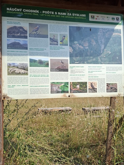 img00006.jpg
