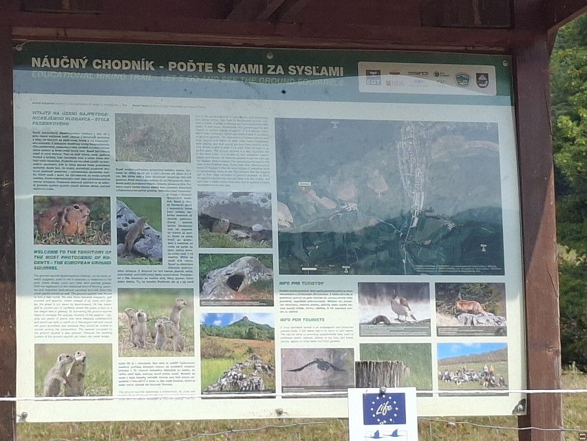 img00012.jpg