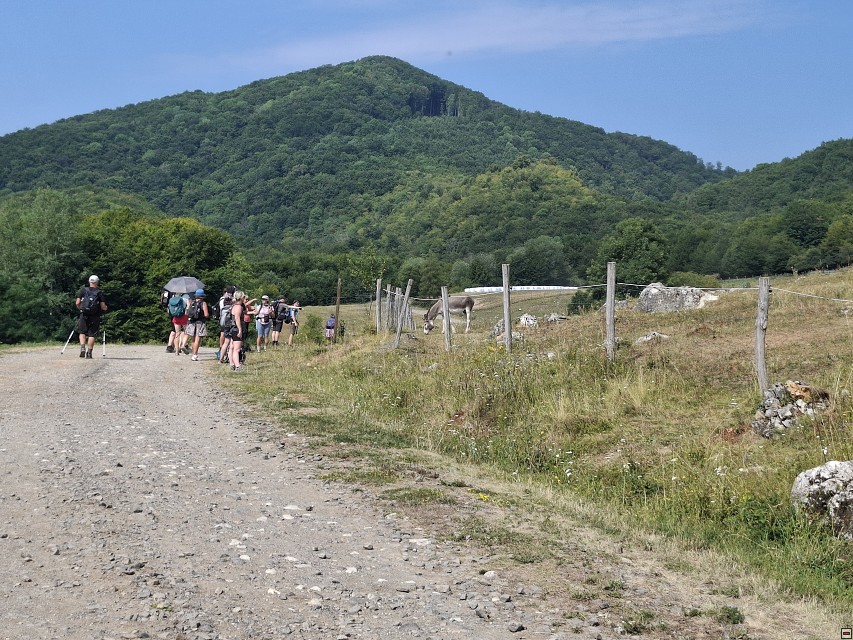 img00013.jpg