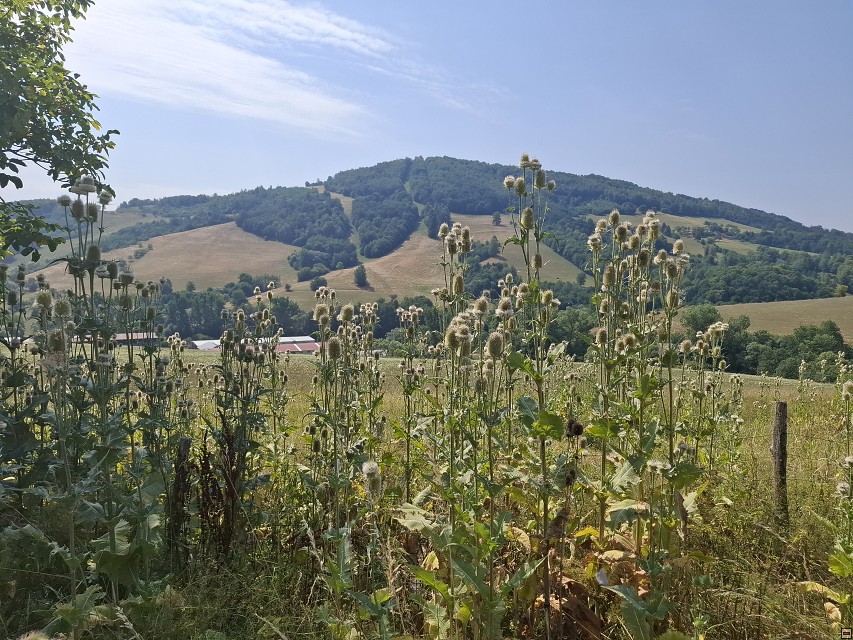 img00022.jpg