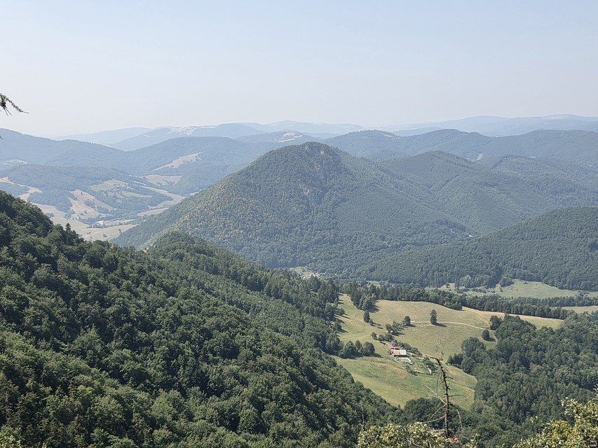 img00029.jpg