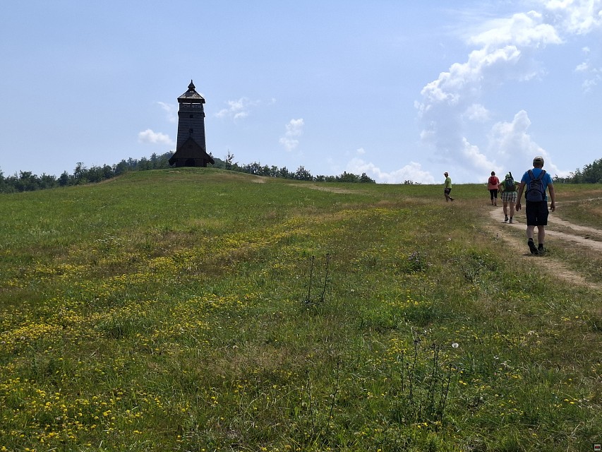 img00042.jpg