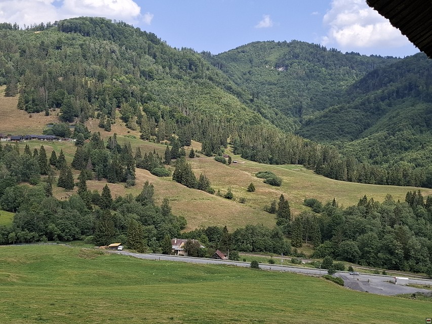img00049.jpg