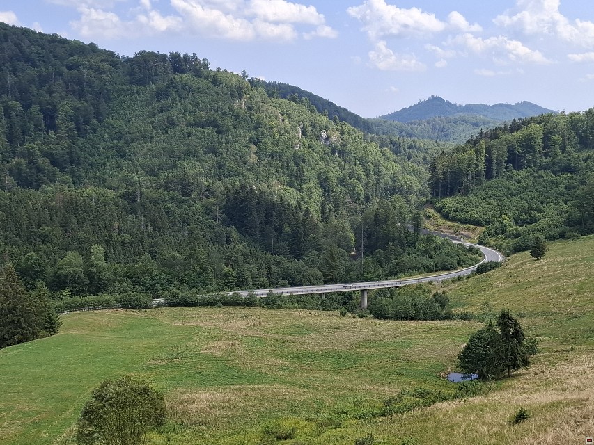img00050.jpg