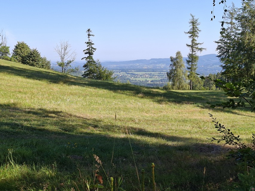 img00004.jpg
