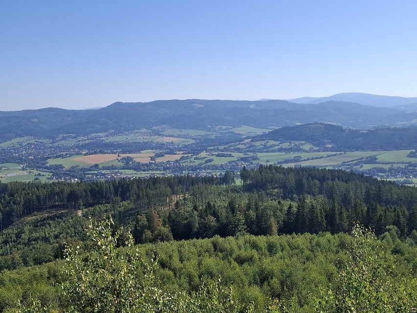 img00010.jpg