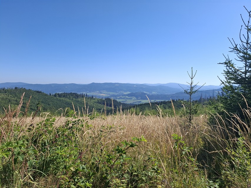 img00017.jpg