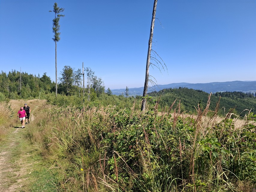 img00018.jpg