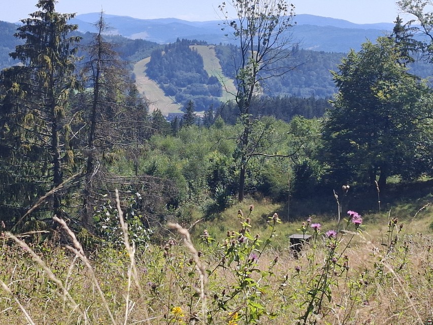 img00023.jpg