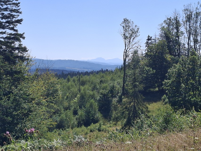 img00024.jpg