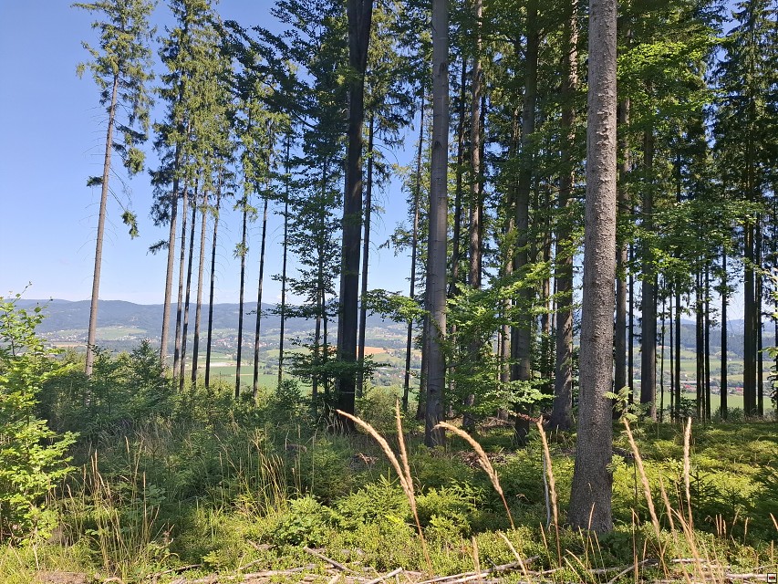 img00025.jpg