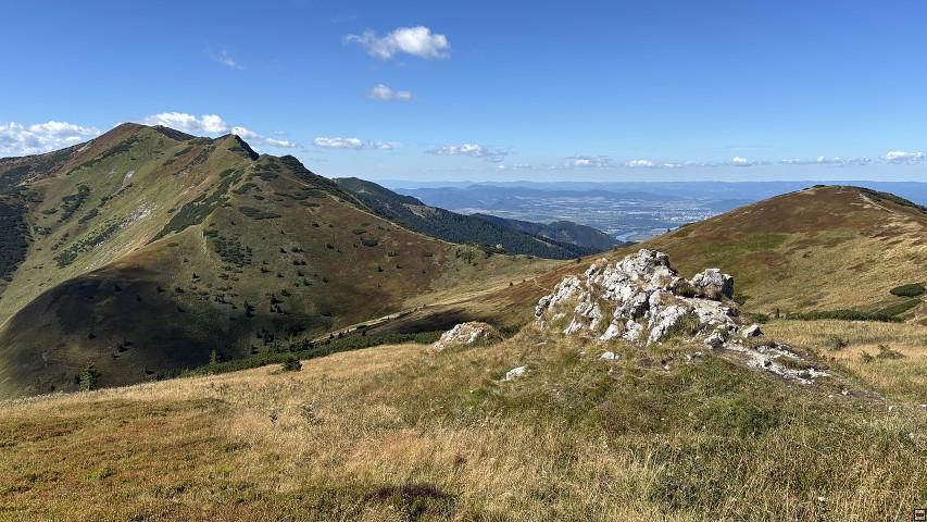 img00124.jpg