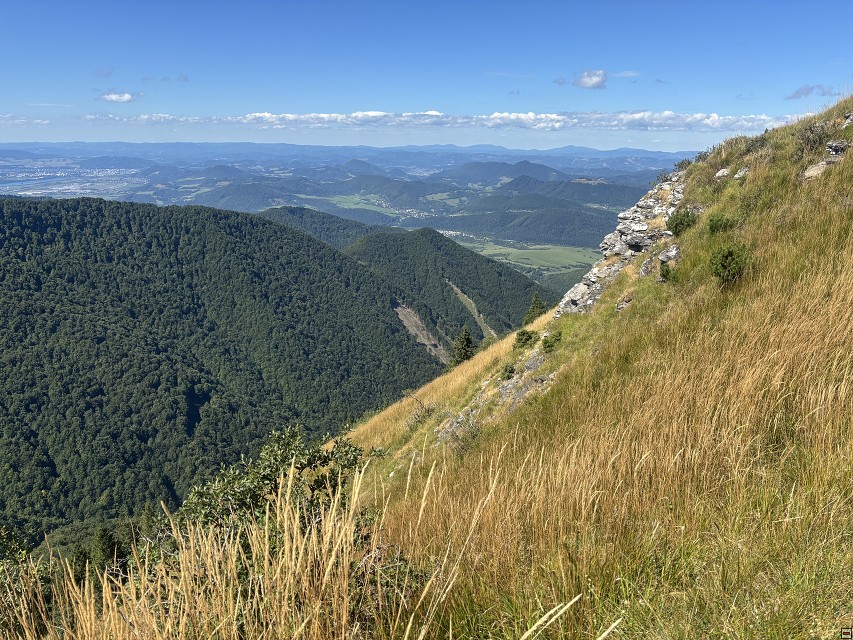 img00127.jpg