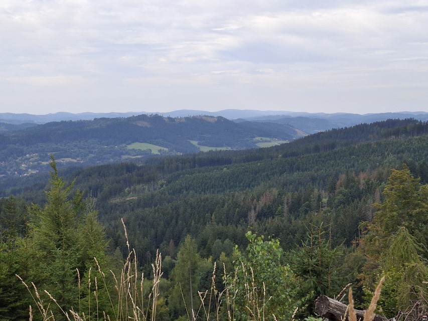 img00013.jpg
