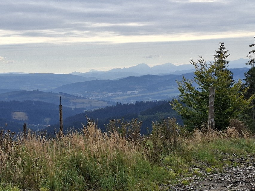 img00018.jpg