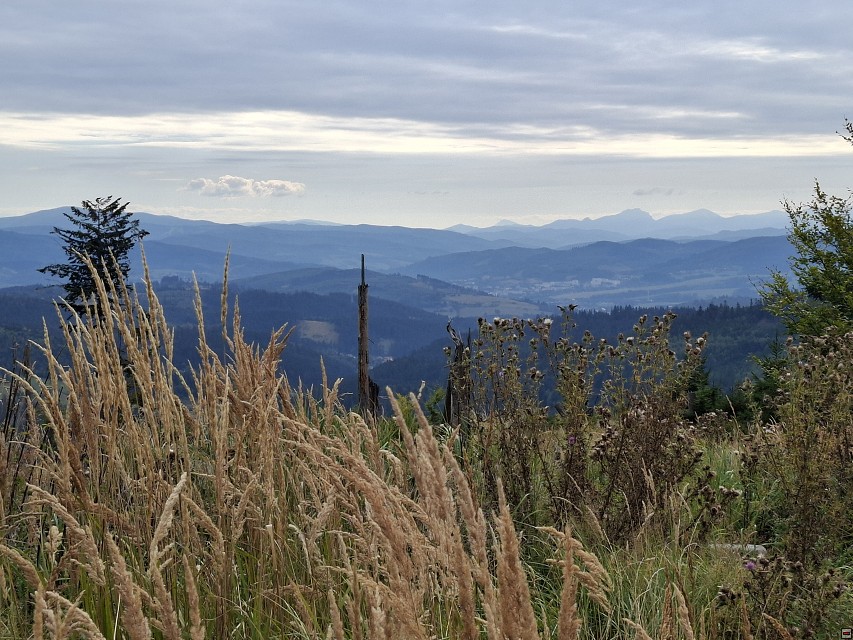 img00019.jpg