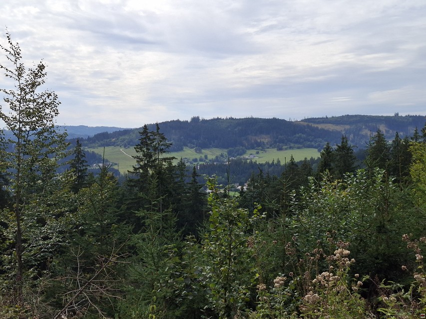 img00040.jpg