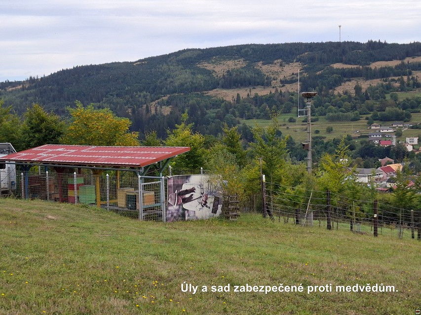 img00050.jpg